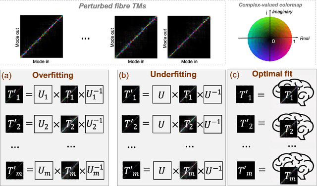 Figure 1 for Self-attention-based non-linear basis transformations for compact latent space modelling of dynamic optical fibre transmission matrices