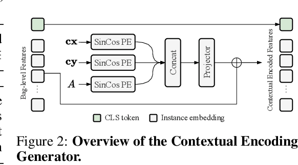 Figure 3 for Multiple Instance Learning with Coarse-to-Fine Self-Distillation
