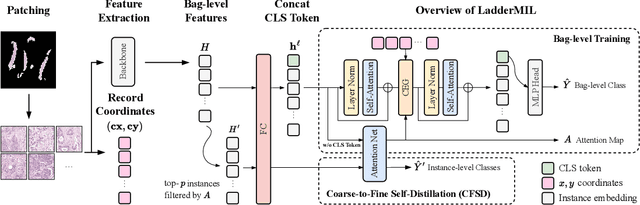 Figure 4 for Multiple Instance Learning with Coarse-to-Fine Self-Distillation