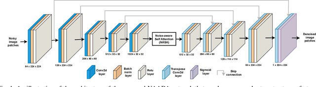 Figure 1 for NAADA: A Noise-Aware Attention Denoising Autoencoder for Dental Panoramic Radiographs