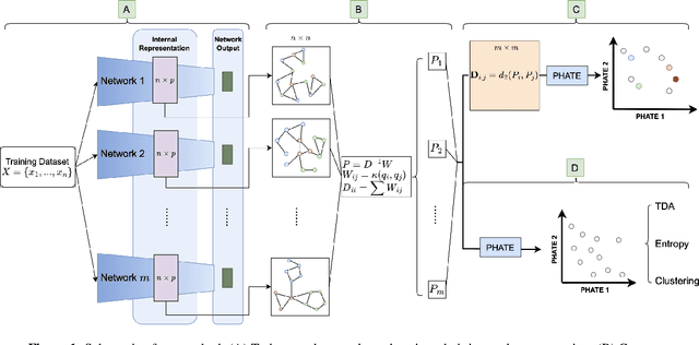 Figure 1 for Exploring the Manifold of Neural Networks Using Diffusion Geometry