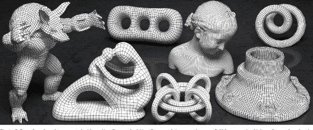 Figure 1 for NeurCross: A Self-Supervised Neural Approach for Representing Cross Fields in Quad Mesh Generation