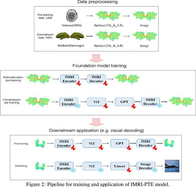 Figure 2 for fMRI-PTE: A Large-scale fMRI Pretrained Transformer Encoder for Multi-Subject Brain Activity Decoding