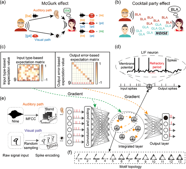 Figure 1 for Motif-topology improved Spiking Neural Network for the Cocktail Party Effect and McGurk Effect
