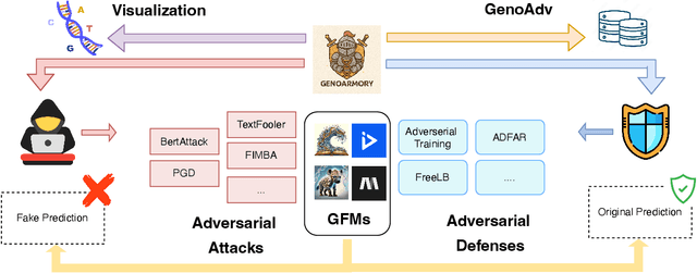 Figure 3 for GenoArmory: A Unified Evaluation Framework for Adversarial Attacks on Genomic Foundation Models