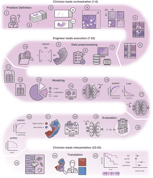 Figure 1 for From Whole-slide Image to Biomarker Prediction: A Protocol for End-to-End Deep Learning in Computational Pathology