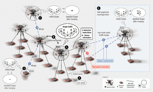 Figure 1 for Self-organizing Nervous Systems for Robot Swarms