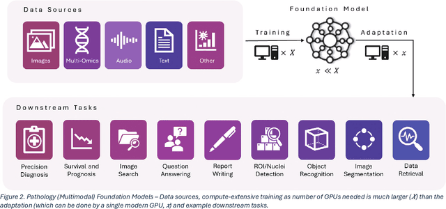 Figure 3 for Foundation Models in Computational Pathology: A Review of Challenges, Opportunities, and Impact