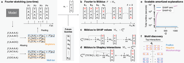 Figure 1 for SHAP zero Explains All-order Feature Interactions in Black-box Genomic Models with Near-zero Query Cost