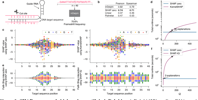 Figure 4 for SHAP zero Explains All-order Feature Interactions in Black-box Genomic Models with Near-zero Query Cost