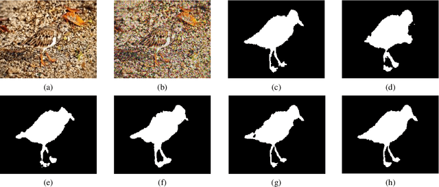 Figure 3 for Robust Variational Model Based Tailored UNet: Leveraging Edge Detector and Mean Curvature for Improved Image Segmentation