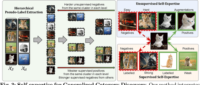 Figure 4 for SelEx: Self-Expertise in Fine-Grained Generalized Category Discovery