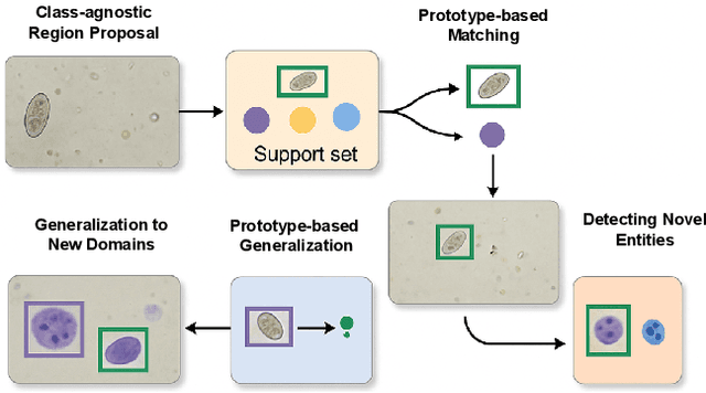 Figure 1 for FSP-DETR: Few-Shot Prototypical Parasitic Ova Detection