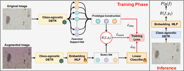 Figure 3 for FSP-DETR: Few-Shot Prototypical Parasitic Ova Detection