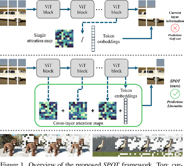 Figure 1 for SPOT: Sparsification with Attention Dynamics via Token Relevance in Vision Transformers
