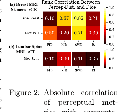 Figure 3 for Rethinking Perceptual Metrics for Medical Image Translation