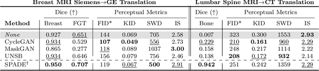 Figure 2 for Rethinking Perceptual Metrics for Medical Image Translation