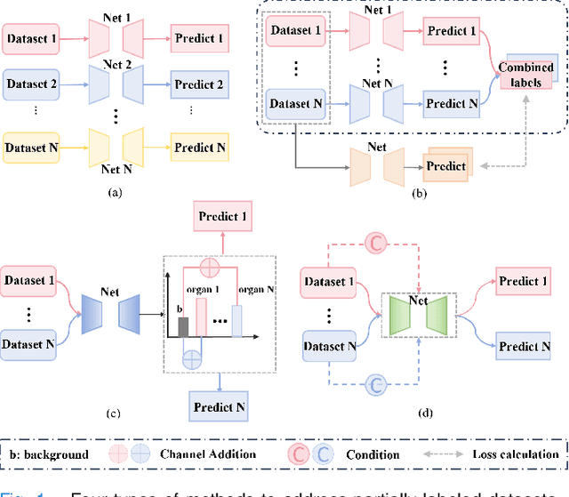 Figure 1 for Deep Mutual Learning among Partially Labeled Datasets for Multi-Organ Segmentation