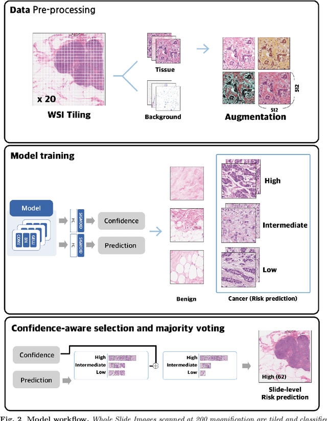 Figure 3 for Predicting the risk of early-stage breast cancer recurrence using H\&E-stained tissue images