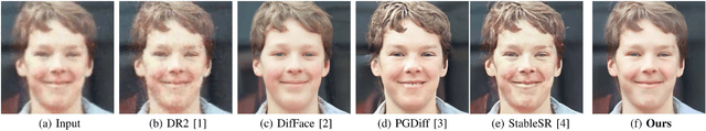 Figure 1 for INDIGO+: A Unified INN-Guided Probabilistic Diffusion Algorithm for Blind and Non-Blind Image Restoration