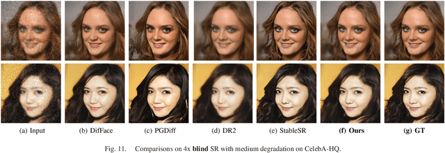 Figure 3 for INDIGO+: A Unified INN-Guided Probabilistic Diffusion Algorithm for Blind and Non-Blind Image Restoration
