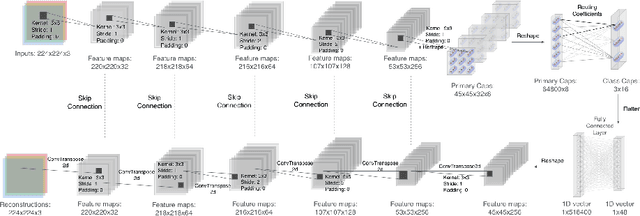 Figure 1 for Self-Supervised Learning for Pre-training Capsule Networks: Overcoming Medical Imaging Dataset Challenges