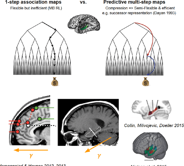 Figure 3 for Memory, Space, and Planning: Multiscale Predictive Representations
