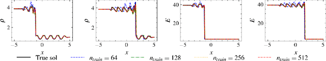 Figure 4 for Entropy stable conservative flux form neural networks