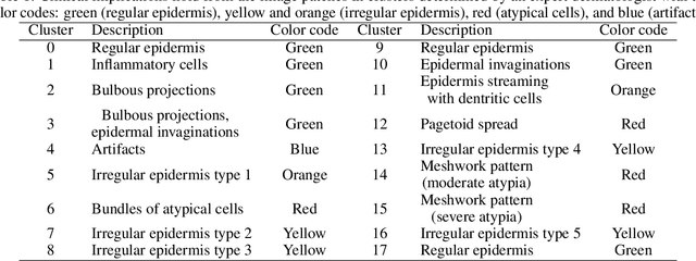 Figure 2 for Enhancing Diagnosis through AI-driven Analysis of Reflectance Confocal Microscopy