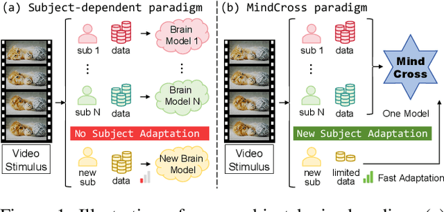 Figure 1 for MindCross: Fast New Subject Adaptation with Limited Data for Cross-subject Video Reconstruction from Brain Signals