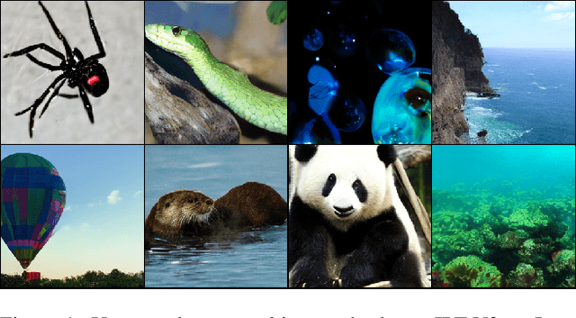 Figure 1 for IPT-V2: Efficient Image Processing Transformer using Hierarchical Attentions