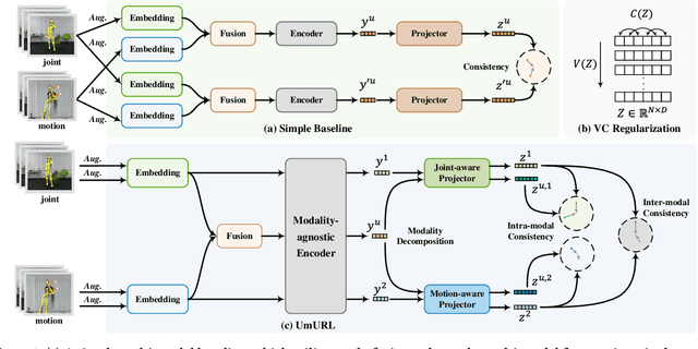 Figure 3 for Unified Multi-modal Unsupervised Representation Learning for Skeleton-based Action Understanding