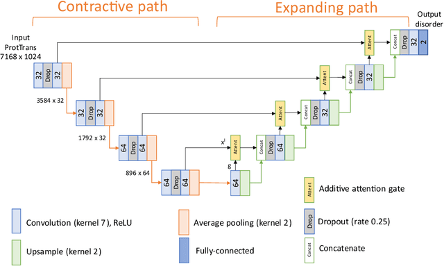 Figure 2 for Protein intrinsic disorder prediction using Attention U-Net and ProtTrans protein language model
