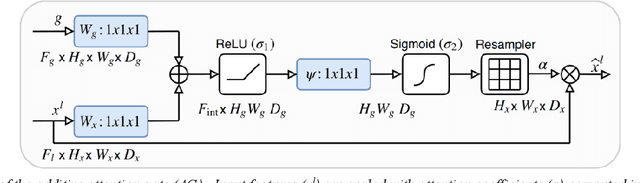 Figure 3 for Protein intrinsic disorder prediction using Attention U-Net and ProtTrans protein language model