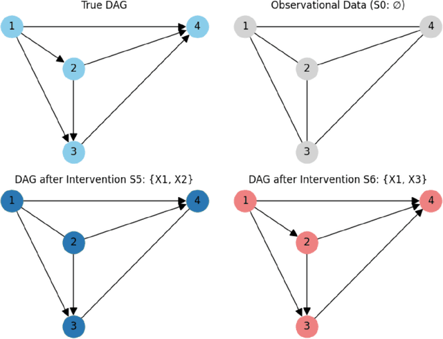 Figure 1 for Causal Discovery by Interventions via Integer Programming