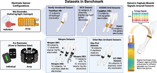 Figure 1 for EMGBench: Benchmarking Out-of-Distribution Generalization and Adaptation for Electromyography