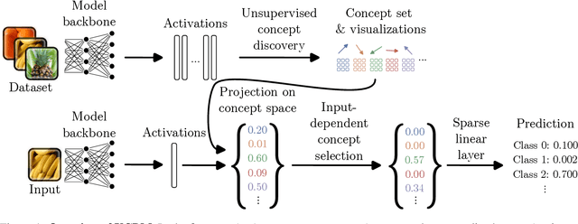 Figure 1 for Concept Bottleneck Models Without Predefined Concepts