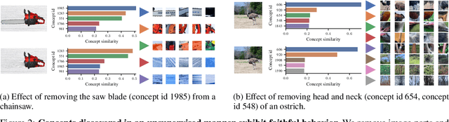 Figure 3 for Concept Bottleneck Models Without Predefined Concepts