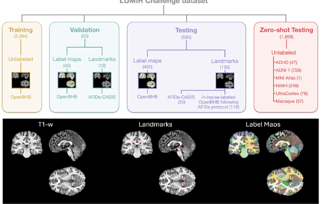 Figure 4 for Beyond the LUMIR challenge: The pathway to foundational registration models