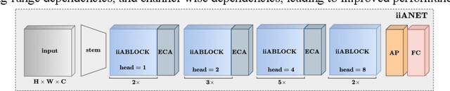 Figure 2 for iiANET: Inception Inspired Attention Hybrid Network for efficient Long-Range Dependency