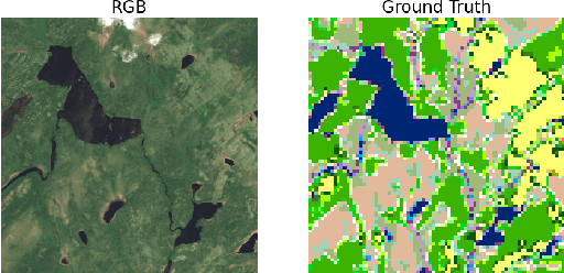 Figure 1 for Using Texture to Classify Forests Separately from Vegetation
