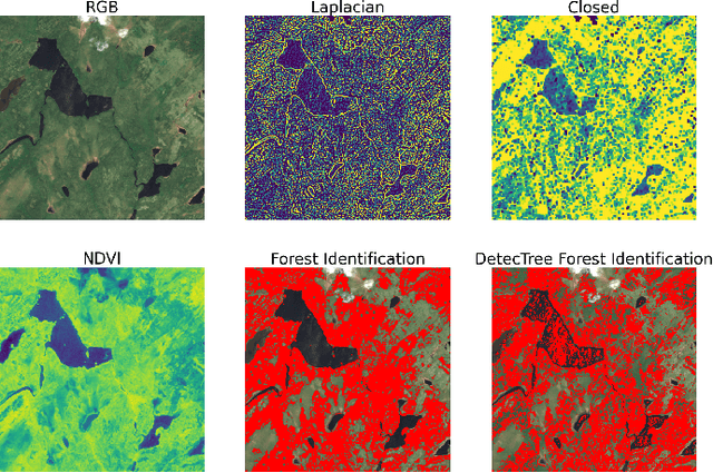 Figure 3 for Using Texture to Classify Forests Separately from Vegetation