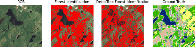 Figure 4 for Using Texture to Classify Forests Separately from Vegetation