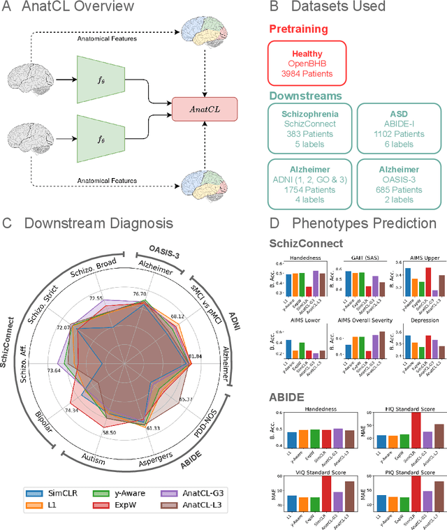 Figure 1 for Anatomical Foundation Models for Brain MRIs