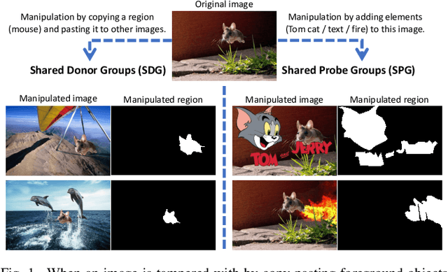 Figure 1 for Webly-Supervised Image Manipulation Localization via Category-Aware Auto-Annotation