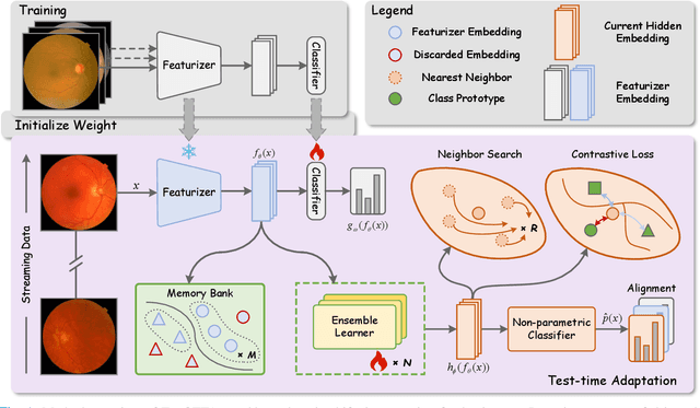 Figure 1 for Graph-Guided Test-Time Adaptation for Glaucoma Diagnosis using Fundus Photography