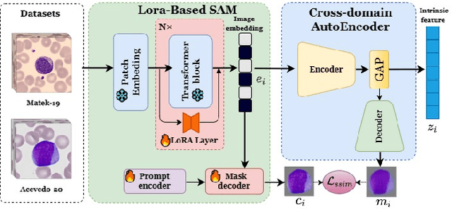 Figure 4 for Towards Cross-Domain Single Blood Cell Image Classification via Large-Scale LoRA-based Segment Anything Model