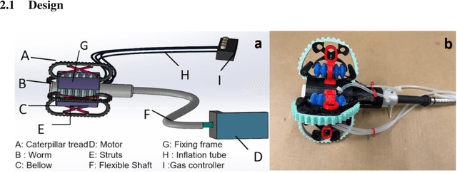 Figure 1 for Adaptable, shape-conforming robotic endoscope