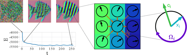 Figure 1 for Artificial Kuramoto Oscillatory Neurons