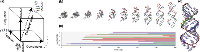 Figure 2 for RiboGen: RNA Sequence and Structure Co-Generation with Equivariant MultiFlow